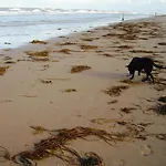 De Waag Hotel Bergen