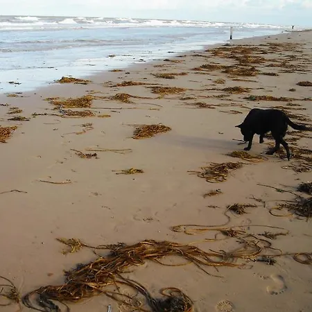De Waag Hotel Bergen