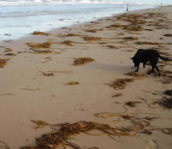 De Waag Hotell Bergen